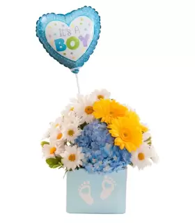 Gerberas, Hortensias Y Margaritas - NAC41