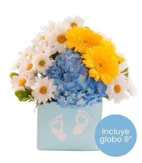 Gerberas, Hortensias Y Margaritas - NAC41