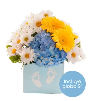 Gerberas, Hortensias Y Margaritas - NAC41