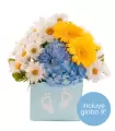Gerberas, Hortensias Y Margaritas - NAC41
