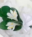 Boutonnier Arapanto - BOT01