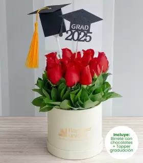 12 Rosas - REDPER16-GRD