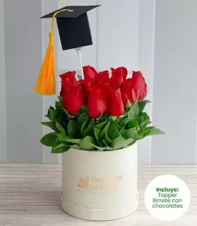 12 Rosas - REDPER16-GRD