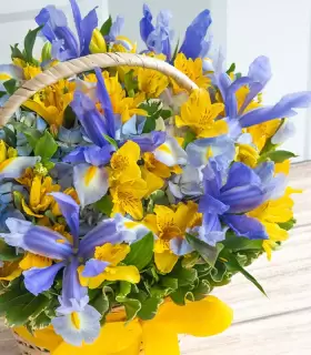 Iris Y Hortensias - VAR12