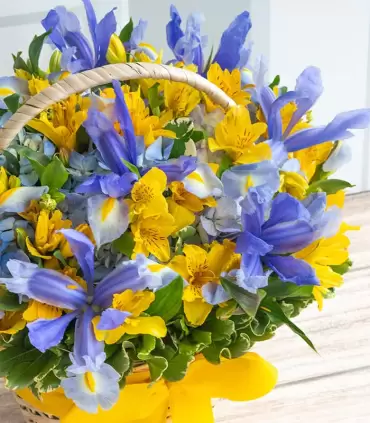 Iris Y Hortensias - VAR12