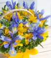 Iris Y Hortensias - VAR12