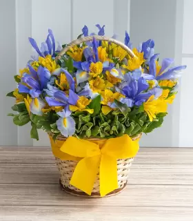 Iris Y Hortensias - VAR12