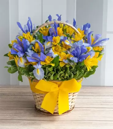 Iris Y Hortensias - VAR12
