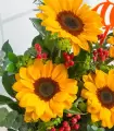 Corazón negro girasoles + topper abeja - FAM25-01