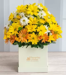 Perla Estefanía - FAM25-03