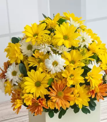 Perla Estefanía - FAM25-03