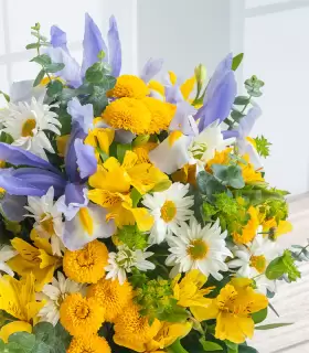 Jarrón Florencia - FAM25-04