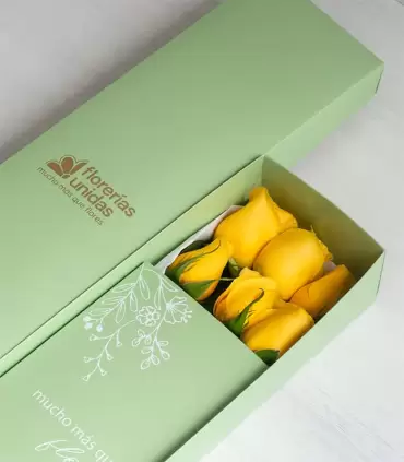 Caja Con 6 Rosas - FAM25-CAx6