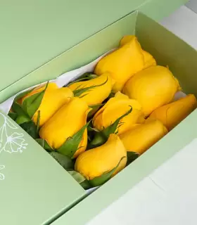 Caja Con 9 Rosas - FAM25-CAx9