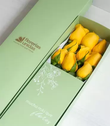 Caja Con 9 Rosas - FAM25-CAx9