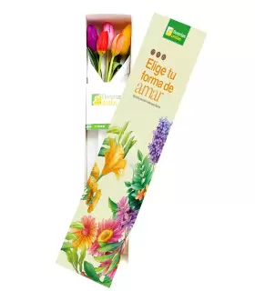 Caja Con 5 Tulipanes - CTx5