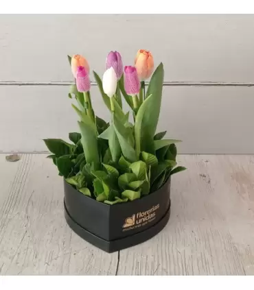 Corazon 06 Tulipanes - CORAZ06