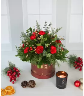 Mini Claveles de Navidad – Box NAV25-06