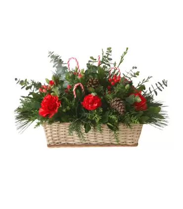 Navidad Blanca – Claveles y Lisianthus NAV25-11