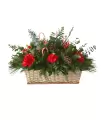 Navidad Blanca – Claveles y Lisianthus NAV25-11