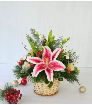 Estrella Floral Navideña NAV25-09
