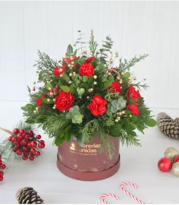 Mini Claveles de Navidad – Box NAV25-06