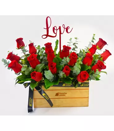 Jardin de Amor Infinito - SV26-04