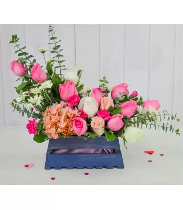 Susurros del Corazón - SV26-10