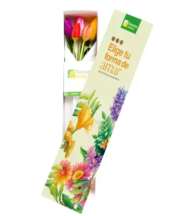 Caja Con 5 Tulipanes - SV26-19