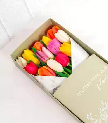 Caja Con 15 Tulipanes - CTx15