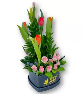 Tulipanes de corazón - Sv26-01