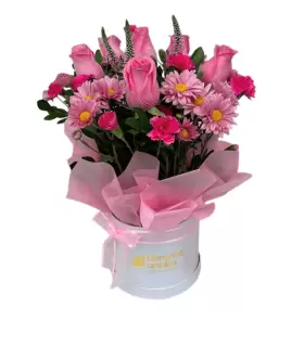 Encanto Rosé - SV26-08