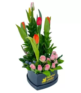Tulipanes de corazón - Sv26-01