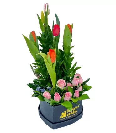 Tulipanes de corazón - Sv26-01