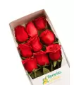 Caja Con 9 Rosas - SV26-17