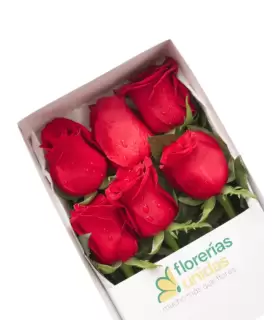 Caja Con 6 Rosas - SV26-16
