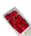 Caja Con 12 Rosas - SV26-18