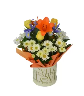 Amanecer de amor - SV26-25