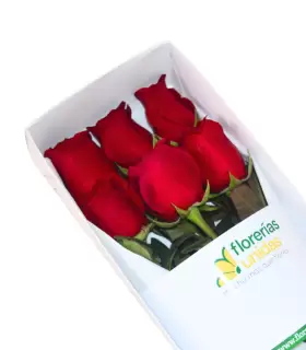 Caja Con 6 Rosas - SV26-16