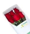 Caja Con 6 Rosas - SV26-16