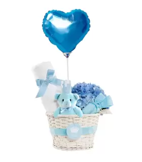 Canasta Niño Con Osito Y Manta Prince - NAC48