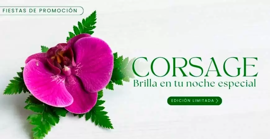 Corsages Elegantes para Celebrar tu Fiesta de Promoción