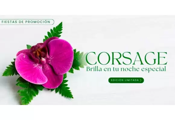 Corsages Elegantes para Celebrar tu Fiesta de Promoción
