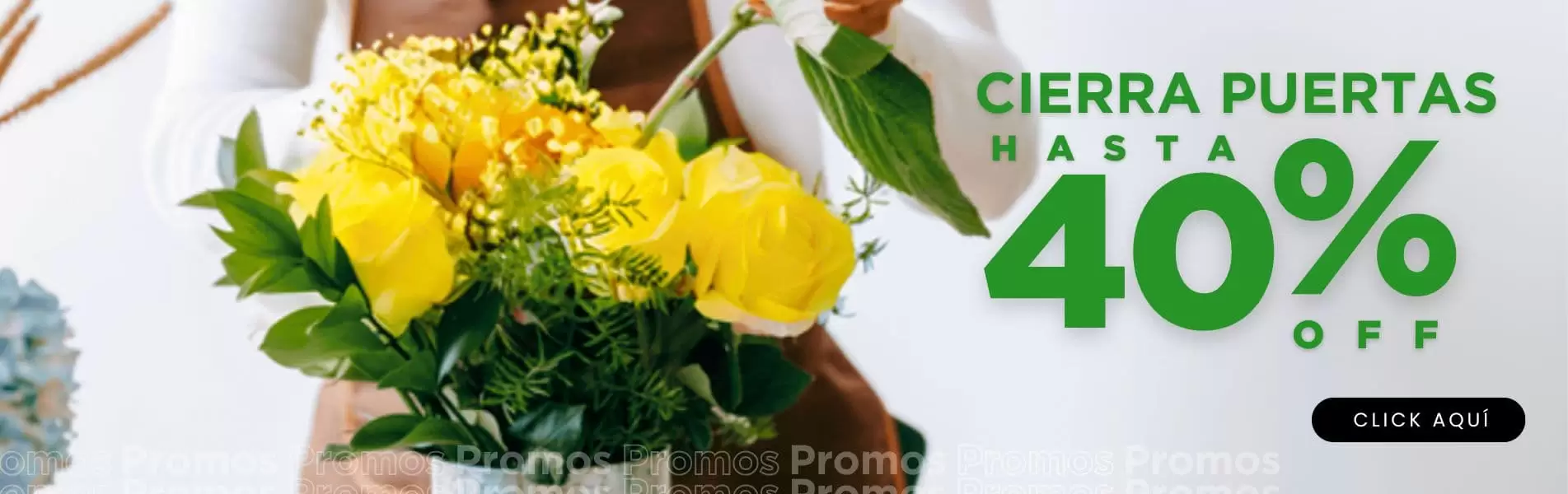 Promociones Octubre