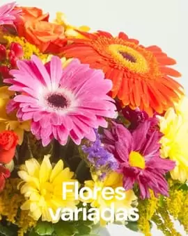 Flores Variadas