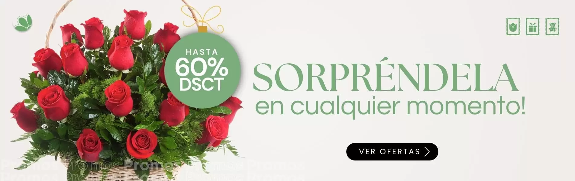 Ofertas de Noviembre